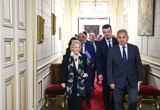 Визит секретаря Совбеза РФ Сергея Шойгу в Египет