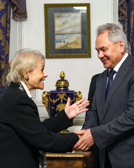 Визит секретаря Совбеза РФ Сергея Шойгу в Египет