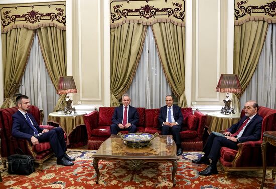 Визит секретаря Совбеза РФ Сергея Шойгу в Египет