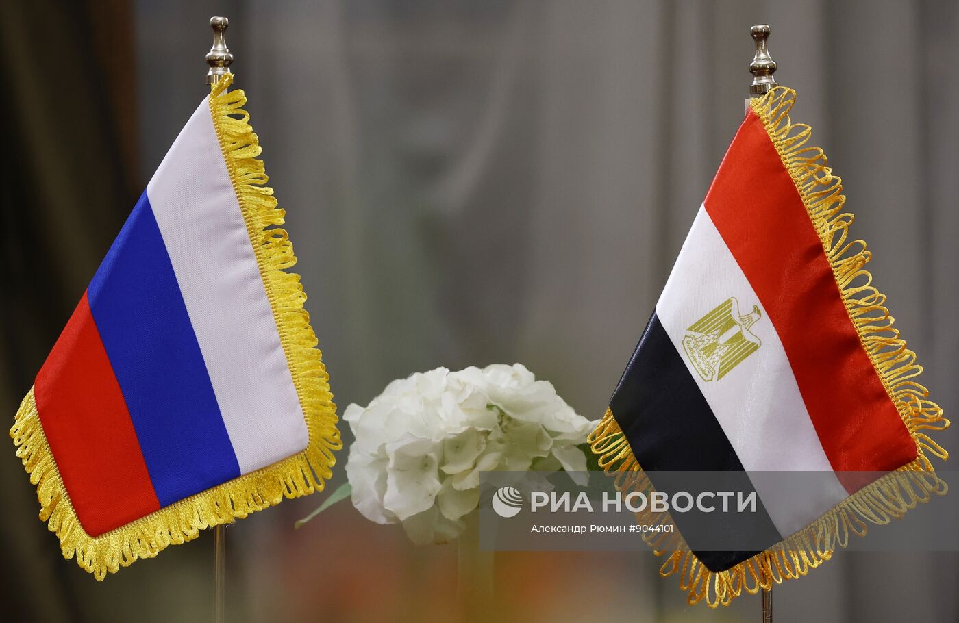 Визит секретаря Совбеза РФ Сергея Шойгу в Египет