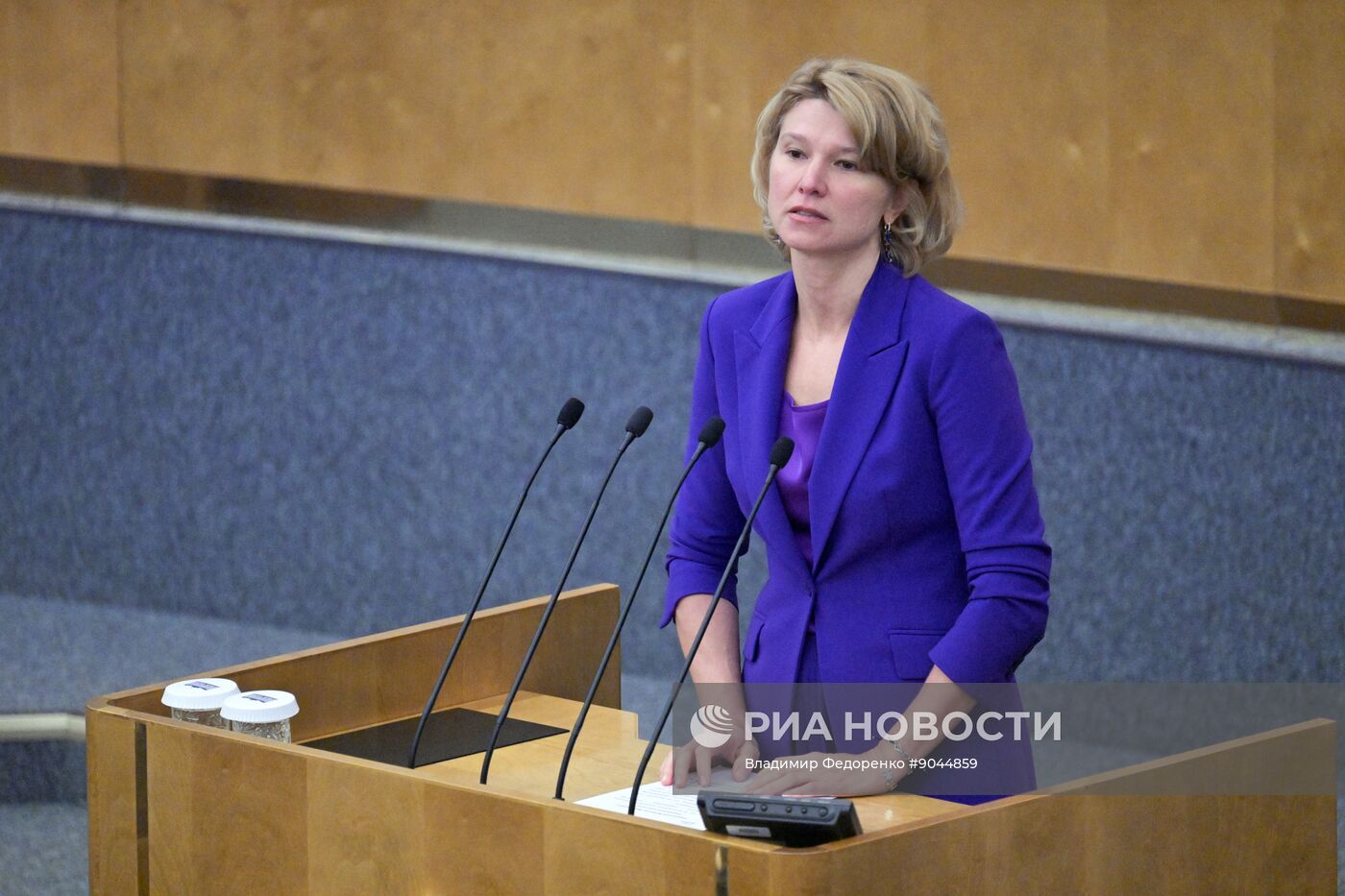 "Правительственный час" в Госдуме РФ