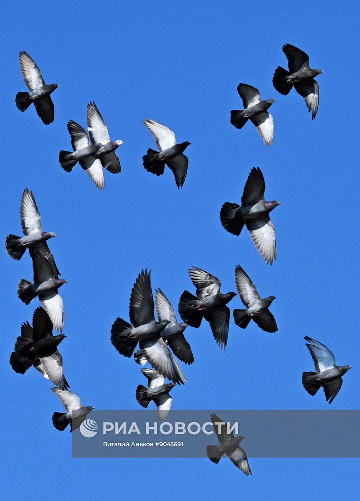 Повседневная жизнь во Владивостоке