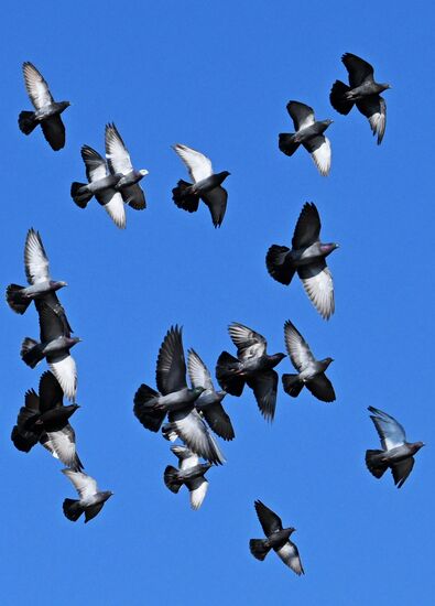 Повседневная жизнь во Владивостоке