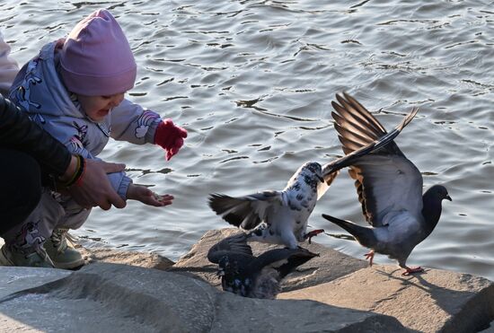 Повседневная жизнь во Владивостоке