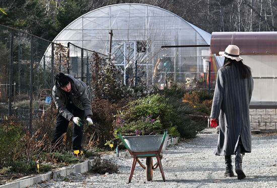 Повседневная жизнь во Владивостоке