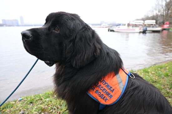 Подготовка спасателей к обеспечению безопасности на водоемах Москвы в зимний период 