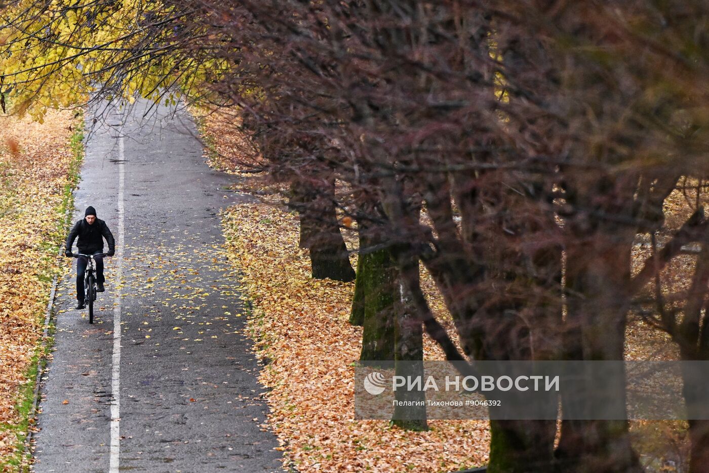 Повседневная жизнь