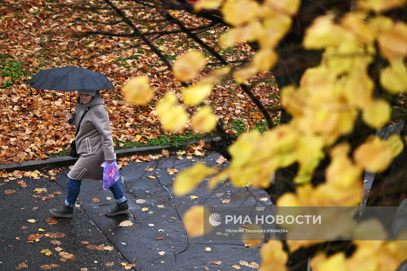 Повседневная жизнь