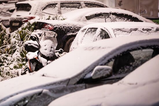 Первый снег в Москве и Санкт-Петербурге