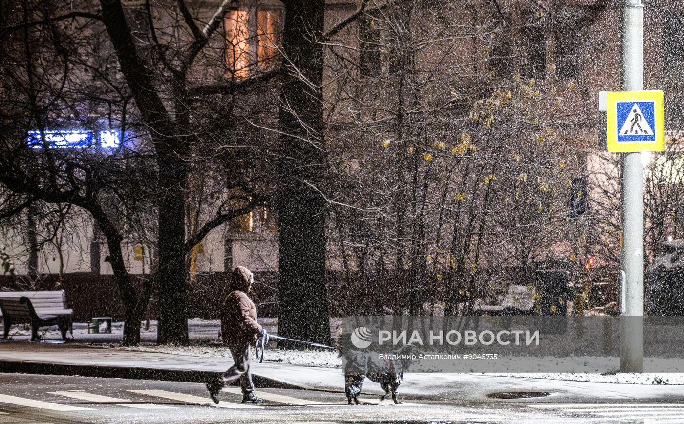 Первый снег в Москве и Санкт-Петербурге