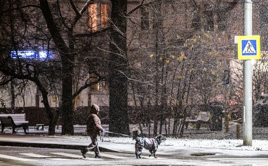 Первый снег в Москве и Санкт-Петербурге