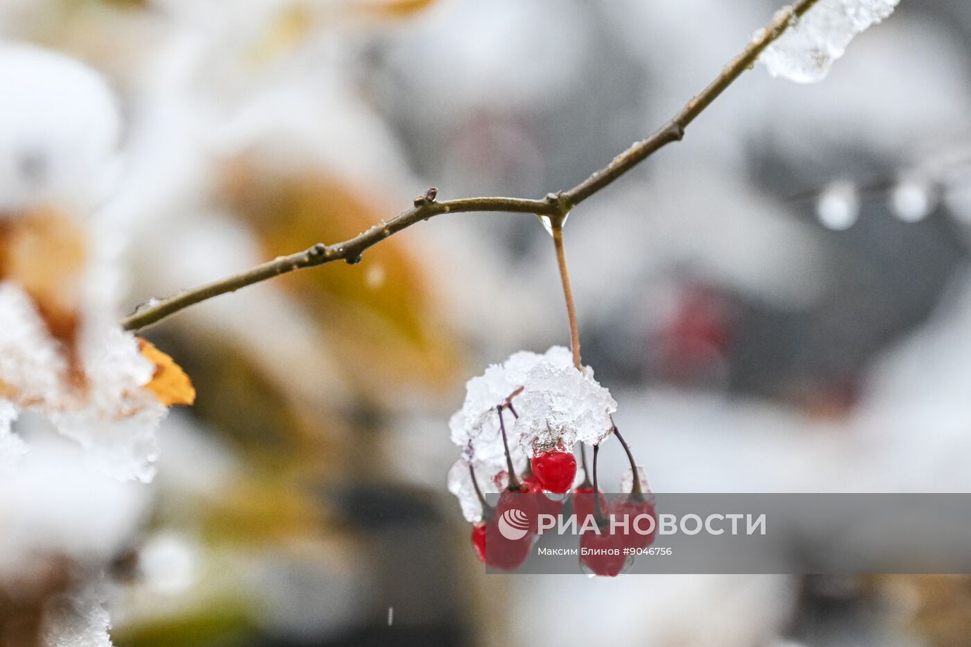 Первый снег в Москве и Санкт-Петербурге