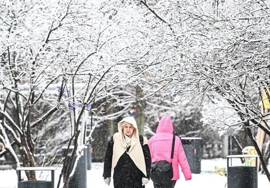 Первый снег в Москве и Санкт-Петербурге