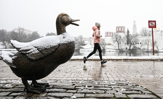 Первый снег в Москве и Санкт-Петербурге