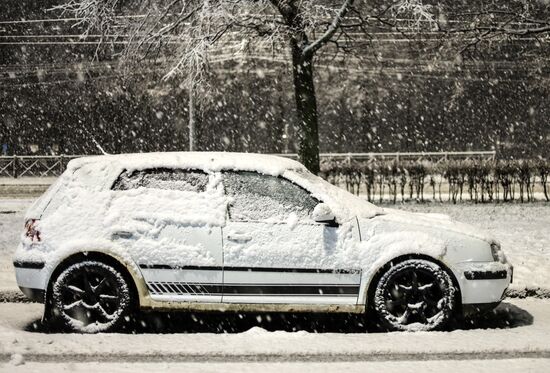 Первый снег в Москве и Санкт-Петербурге