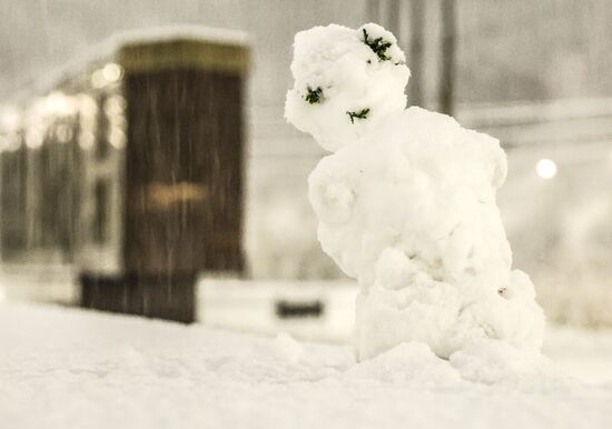 Первый снег в Москве и Санкт-Петербурге