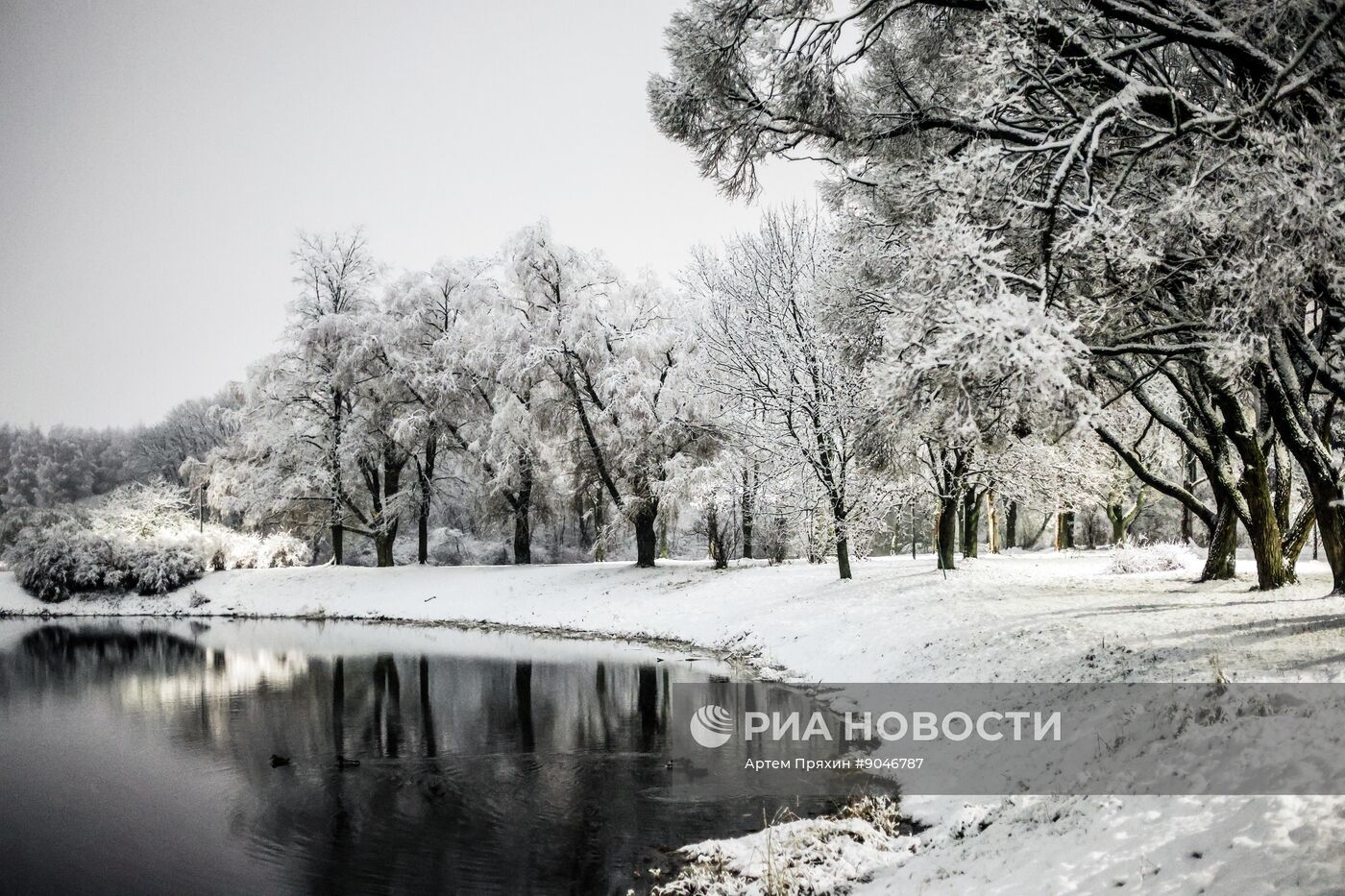 Первый снег в Москве и Санкт-Петербурге