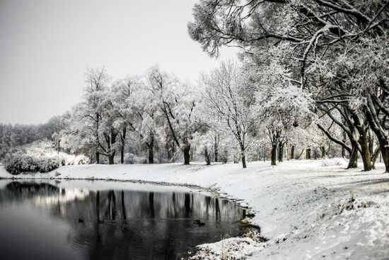 Первый снег в Москве и Санкт-Петербурге