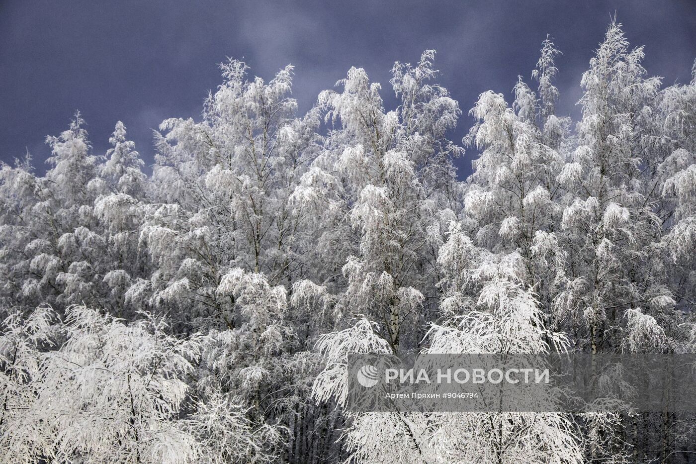 Первый снег в Москве и Санкт-Петербурге