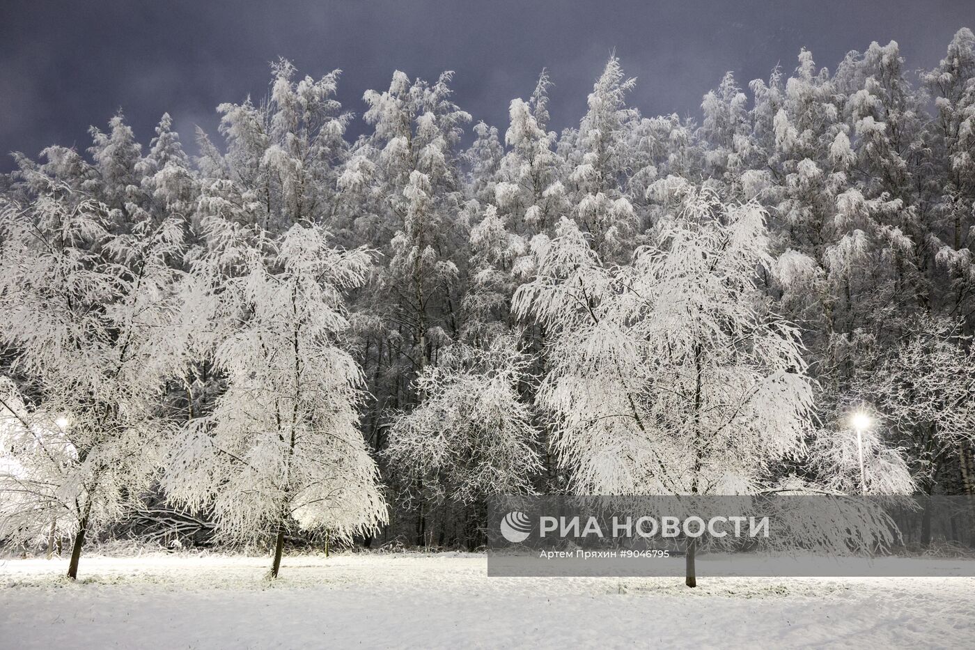 Первый снег в Москве и Санкт-Петербурге