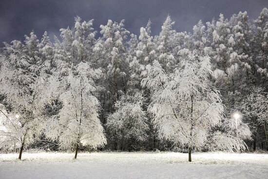Первый снег в Москве и Санкт-Петербурге