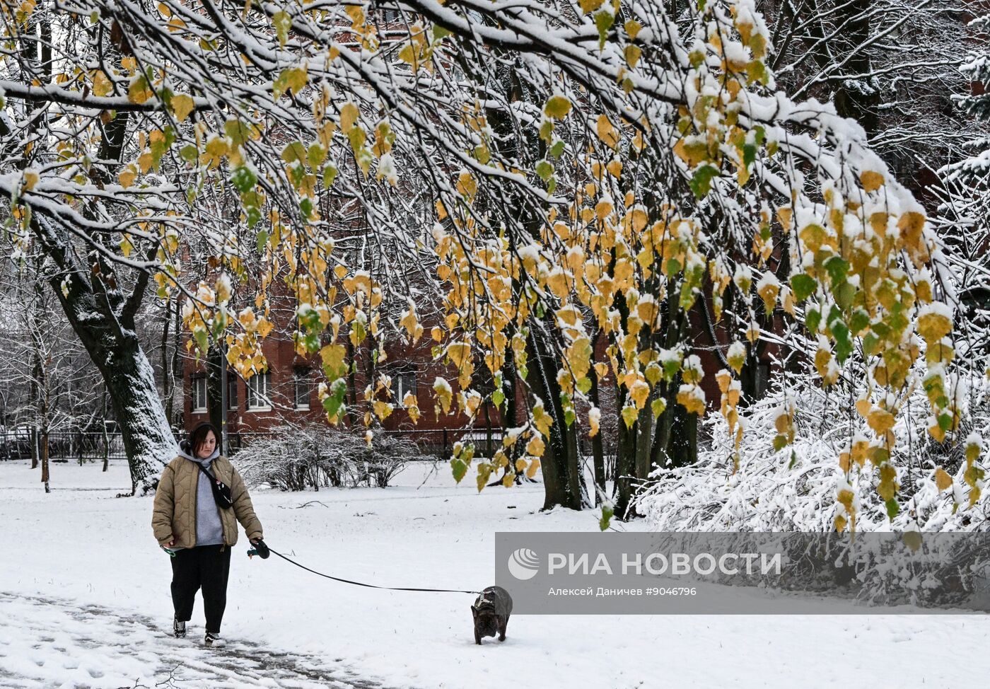 Первый снег в Москве и Санкт-Петербурге