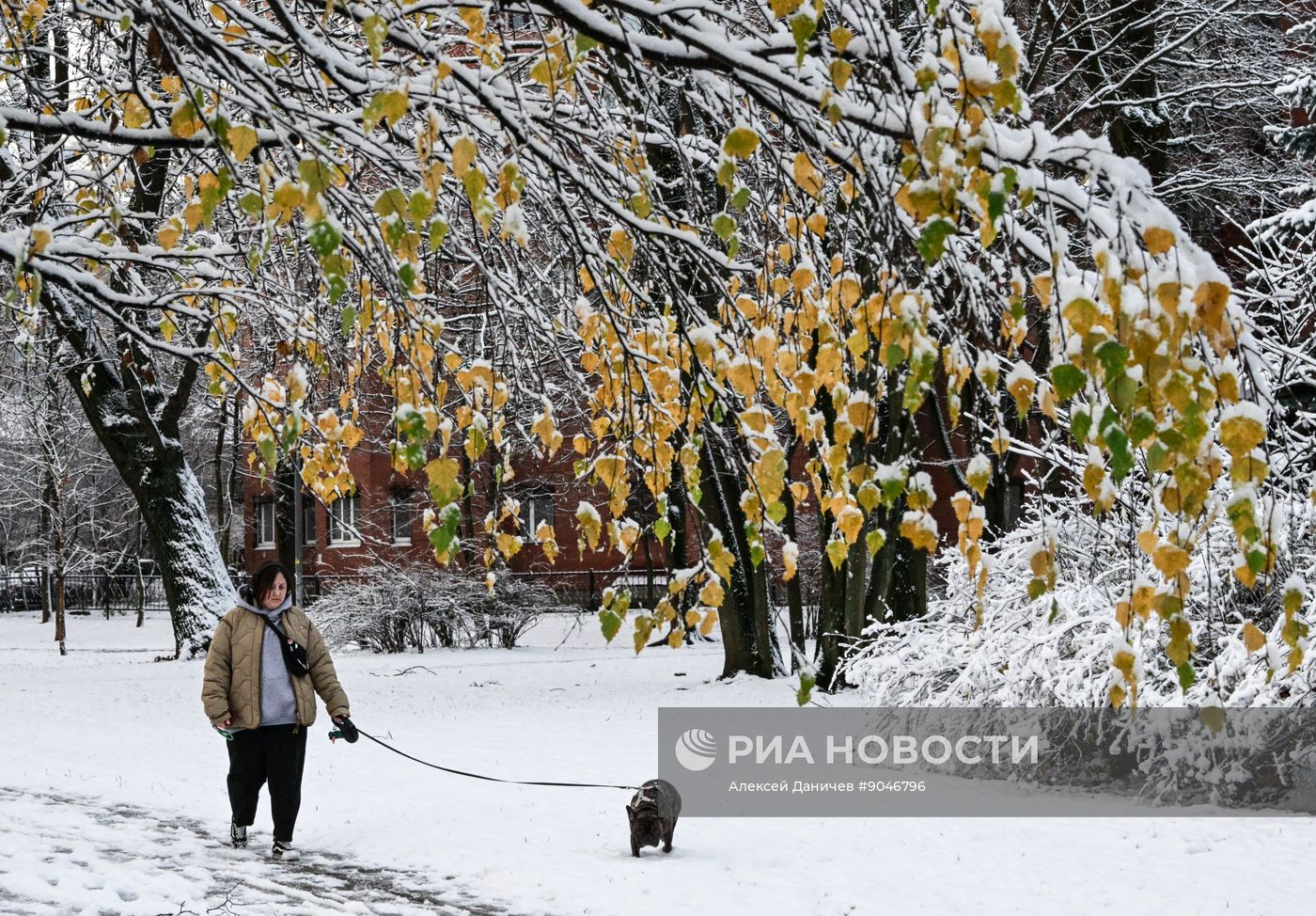 Первый снег в Москве и Санкт-Петербурге