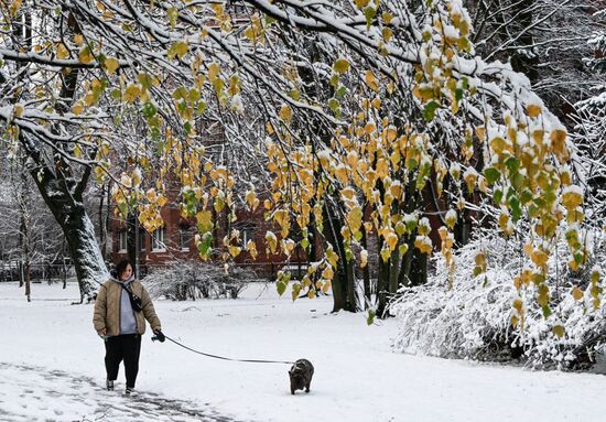 Первый снег в Москве и Санкт-Петербурге