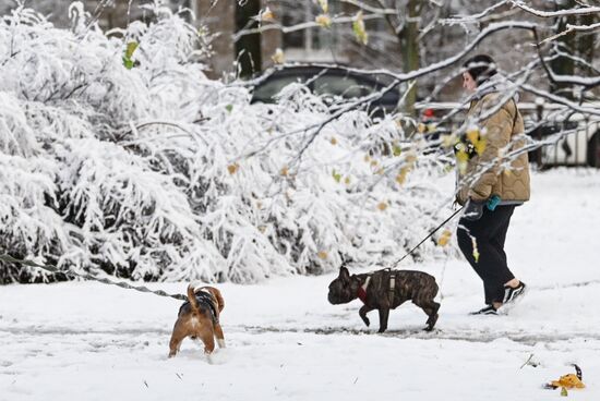 Первый снег в Москве и Санкт-Петербурге
