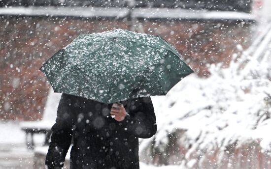 Первый снег в Москве и Санкт-Петербурге