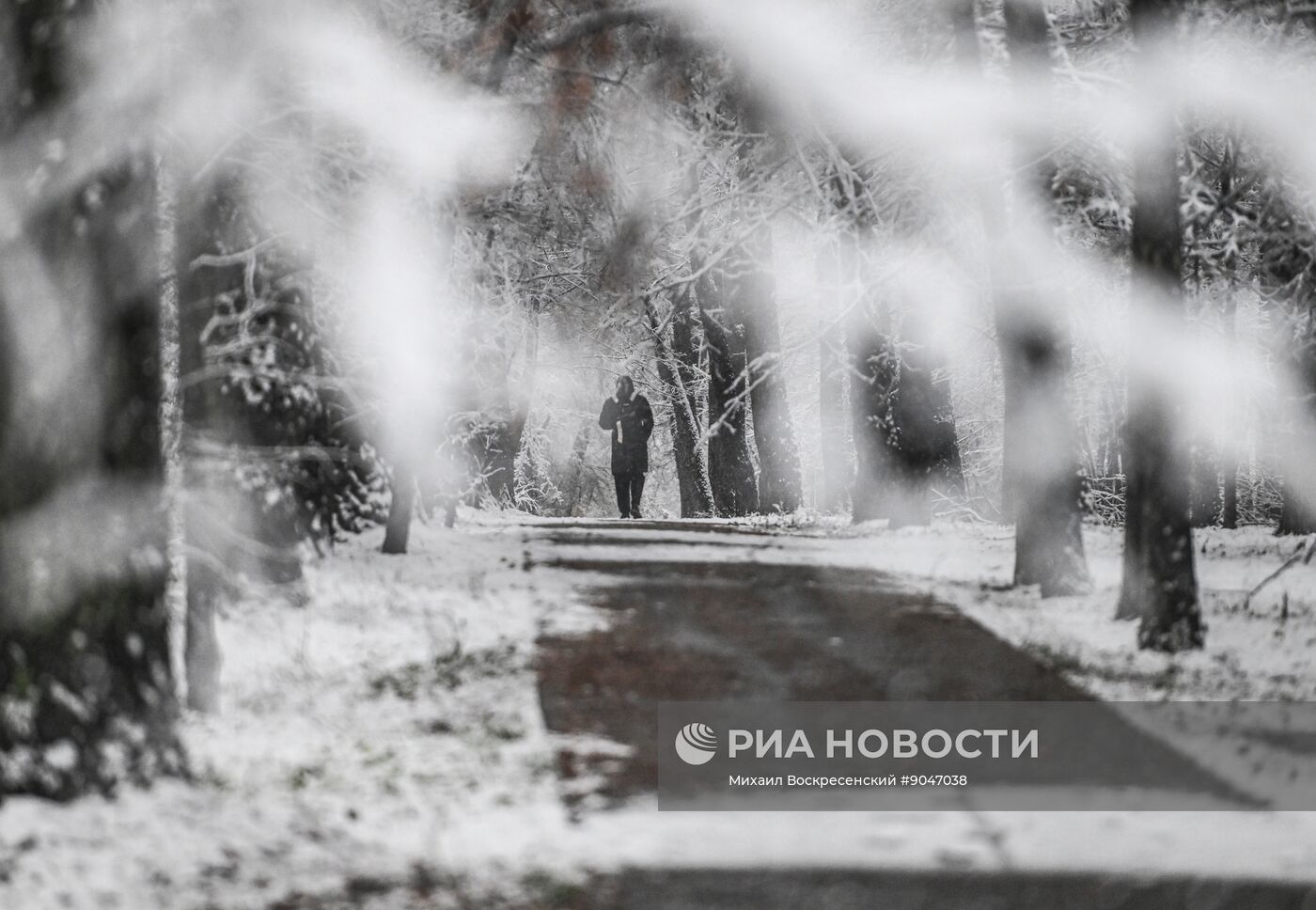 Первый снег в Москве и Санкт-Петербурге