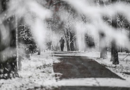 Первый снег в Москве и Санкт-Петербурге