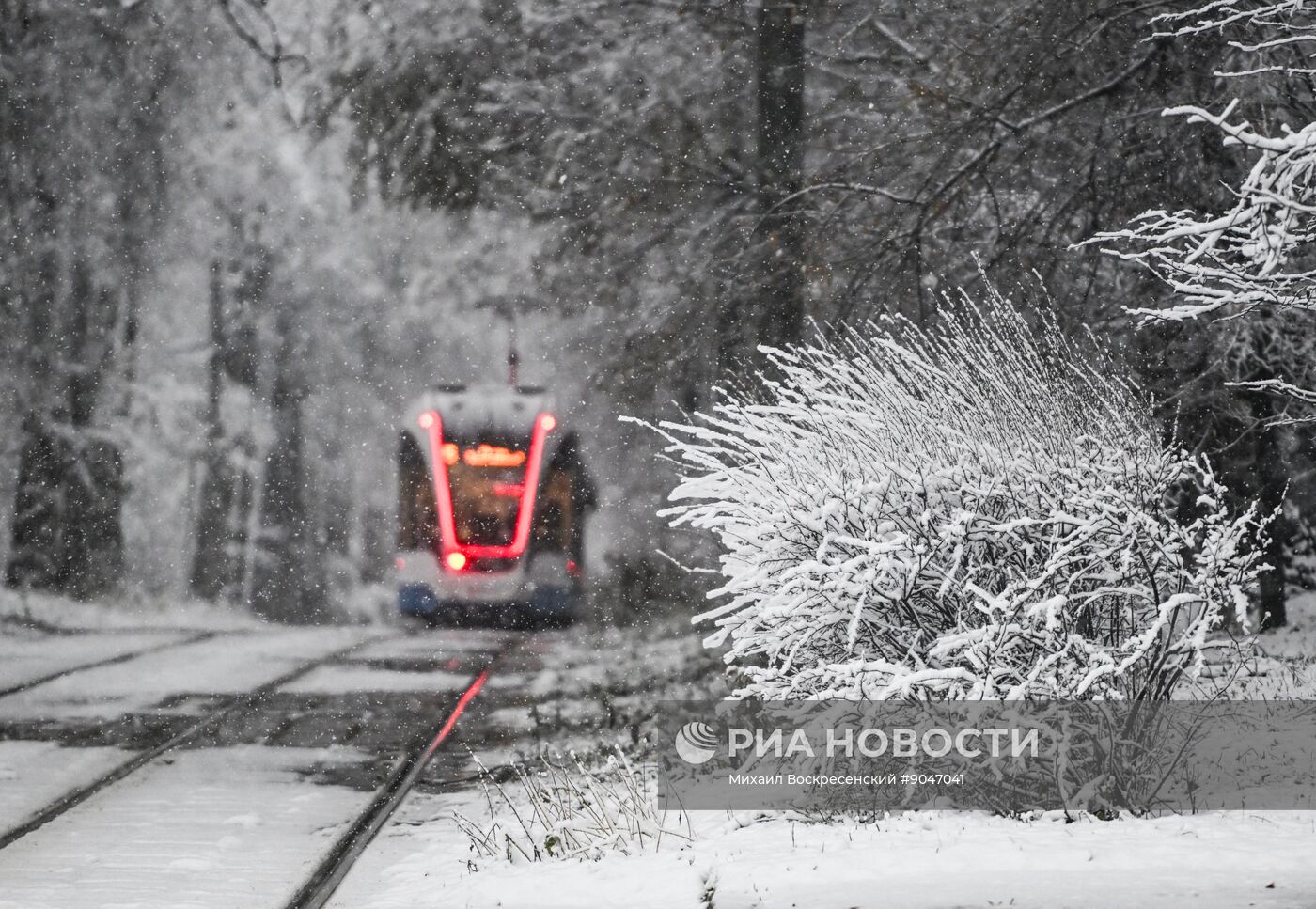 Первый снег в Москве и Санкт-Петербурге