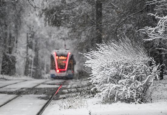 Первый снег в Москве и Санкт-Петербурге