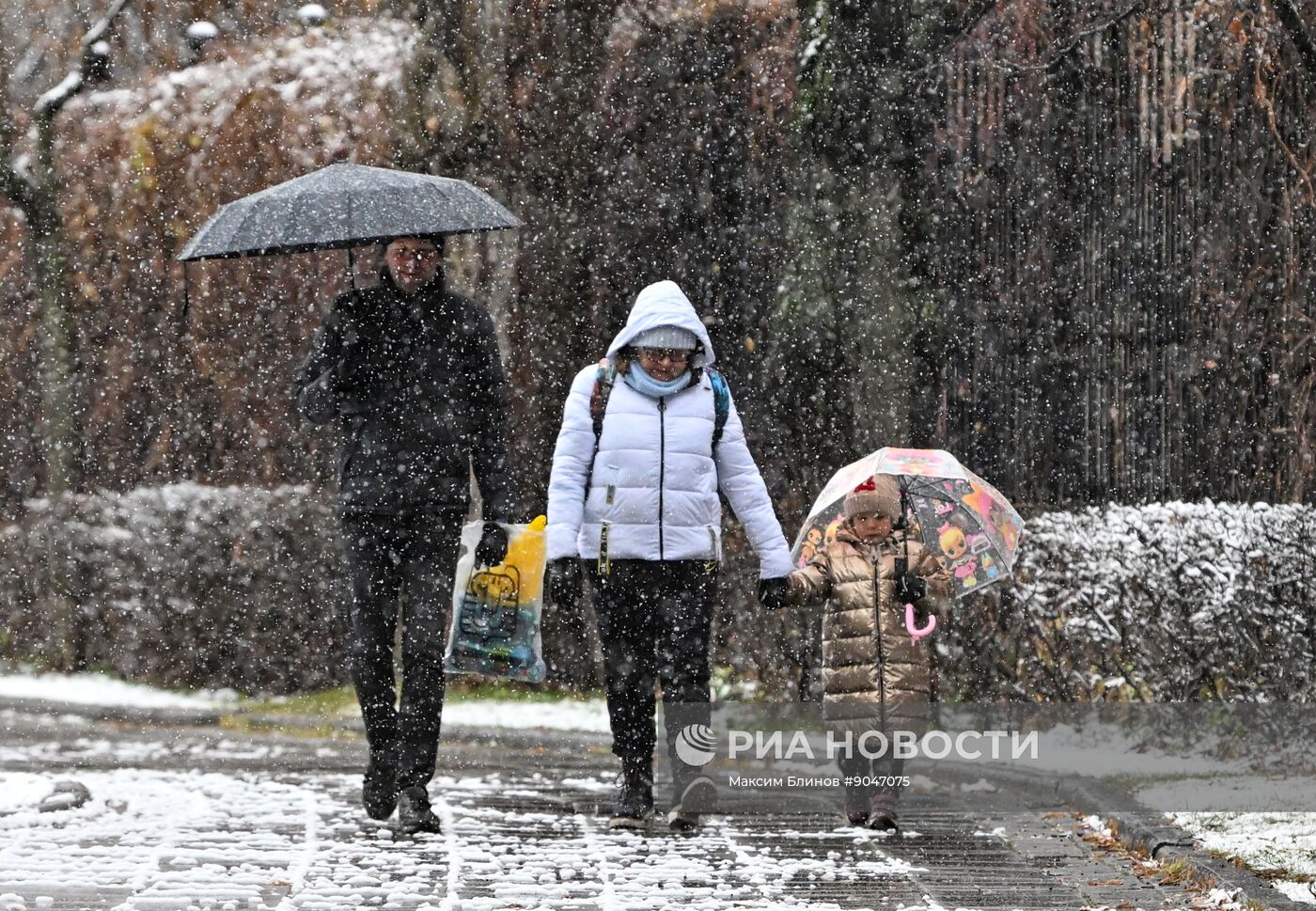 Первый снег в Москве и Санкт-Петербурге