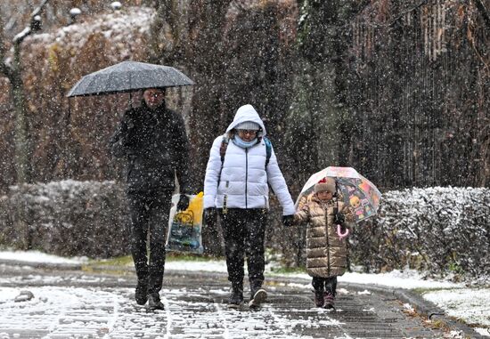 Первый снег в Москве и Санкт-Петербурге