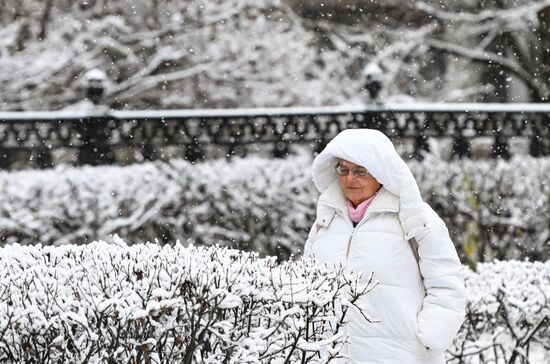 Первый снег в Москве и Санкт-Петербурге