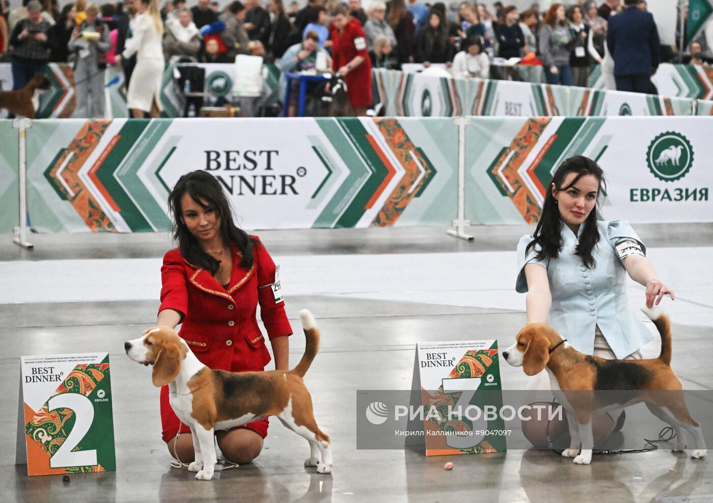 Выставка собак "Евразия 2025"