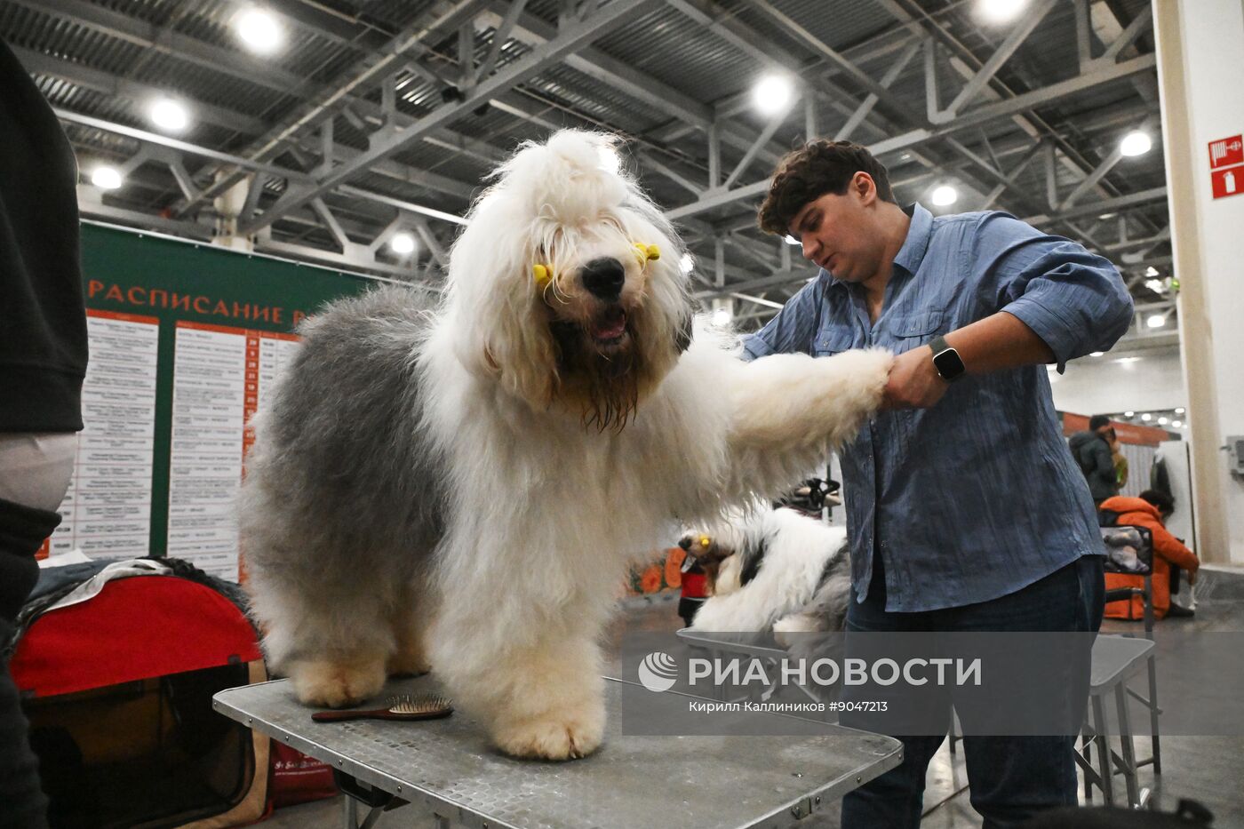 Выставка собак "Евразия 2025"