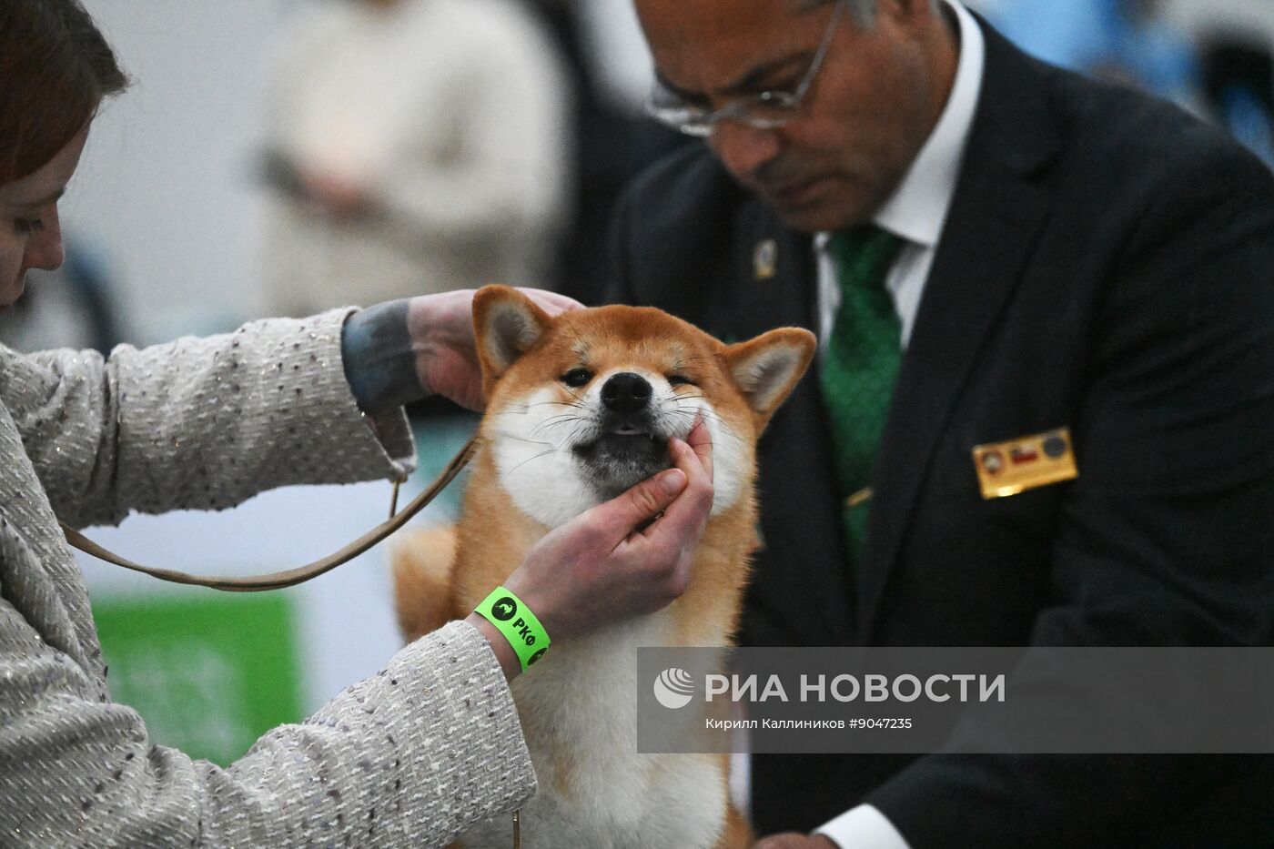 Выставка собак "Евразия 2025"