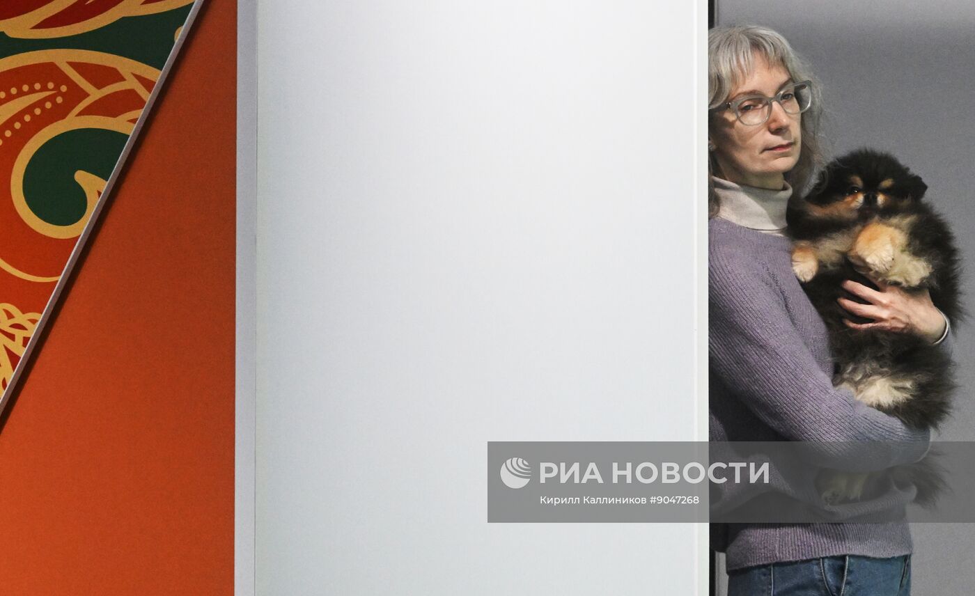 Выставка собак "Евразия 2025"