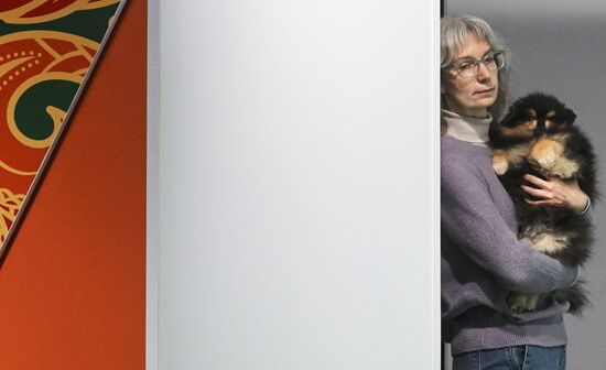 Выставка собак "Евразия 2025"