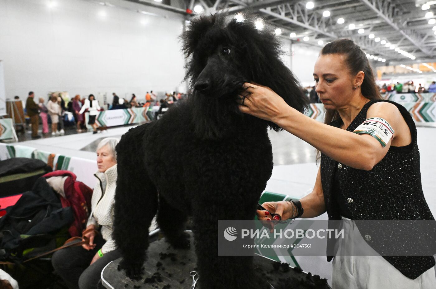 Выставка собак "Евразия 2025"