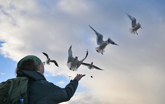 Повседневная жизнь в Светлогорске