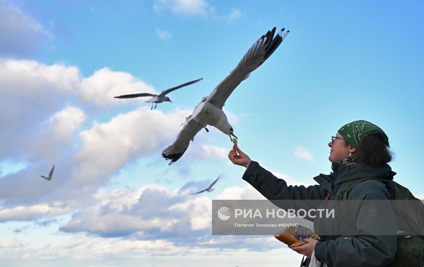 Повседневная жизнь в Светлогорске