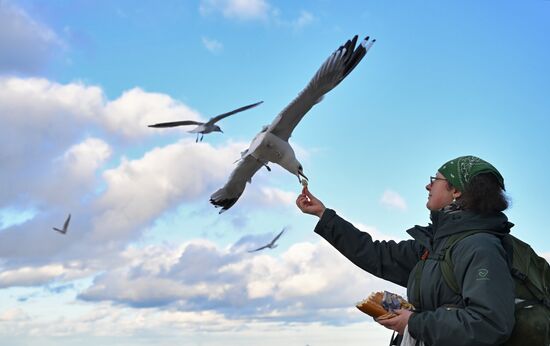 Повседневная жизнь в Светлогорске