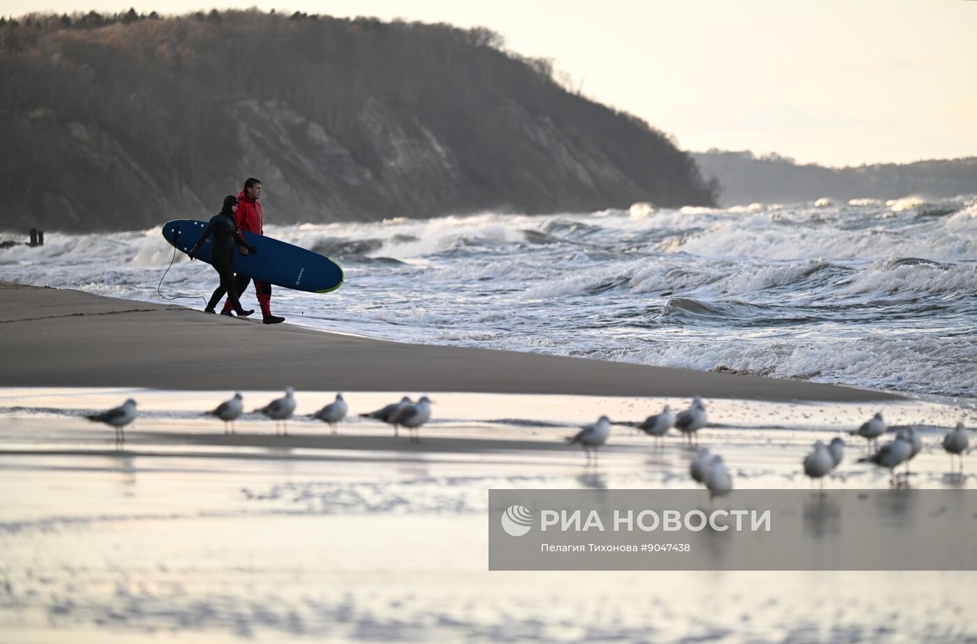 Повседневная жизнь в Светлогорске
