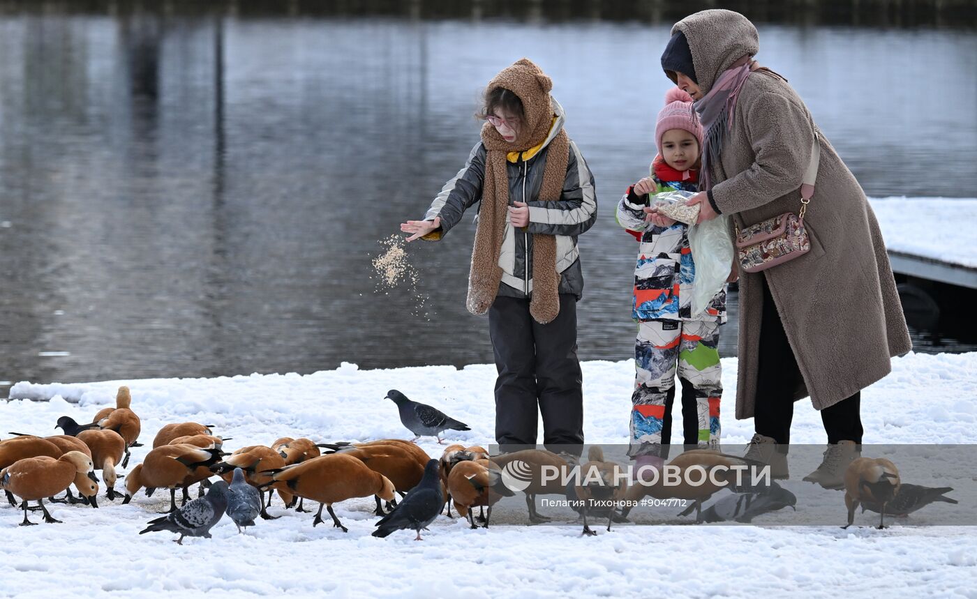 Повседневная жизнь в городах России