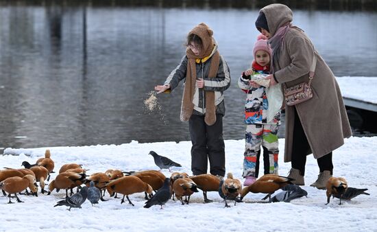Повседневная жизнь в городах России