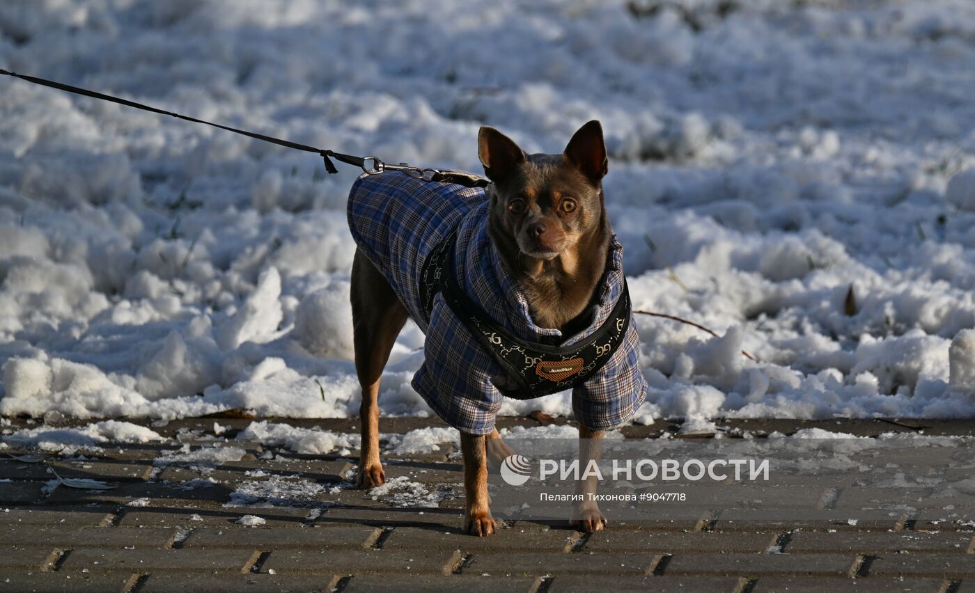 Повседневная жизнь в городах России